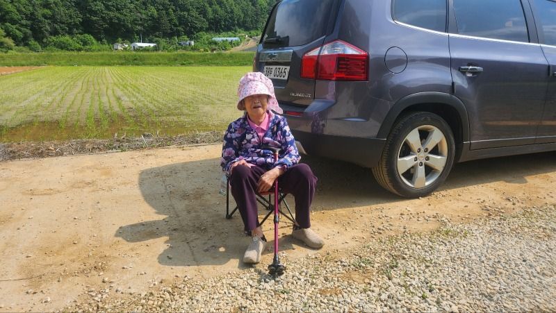 정선 화암면 구슬골길 유가네 수수 모심기 프로젝트