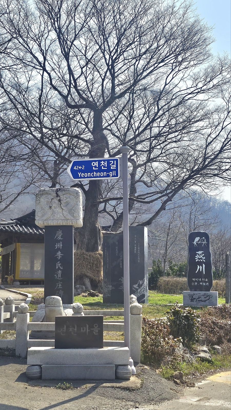 전통문향속의 핀 철쭉 꽃