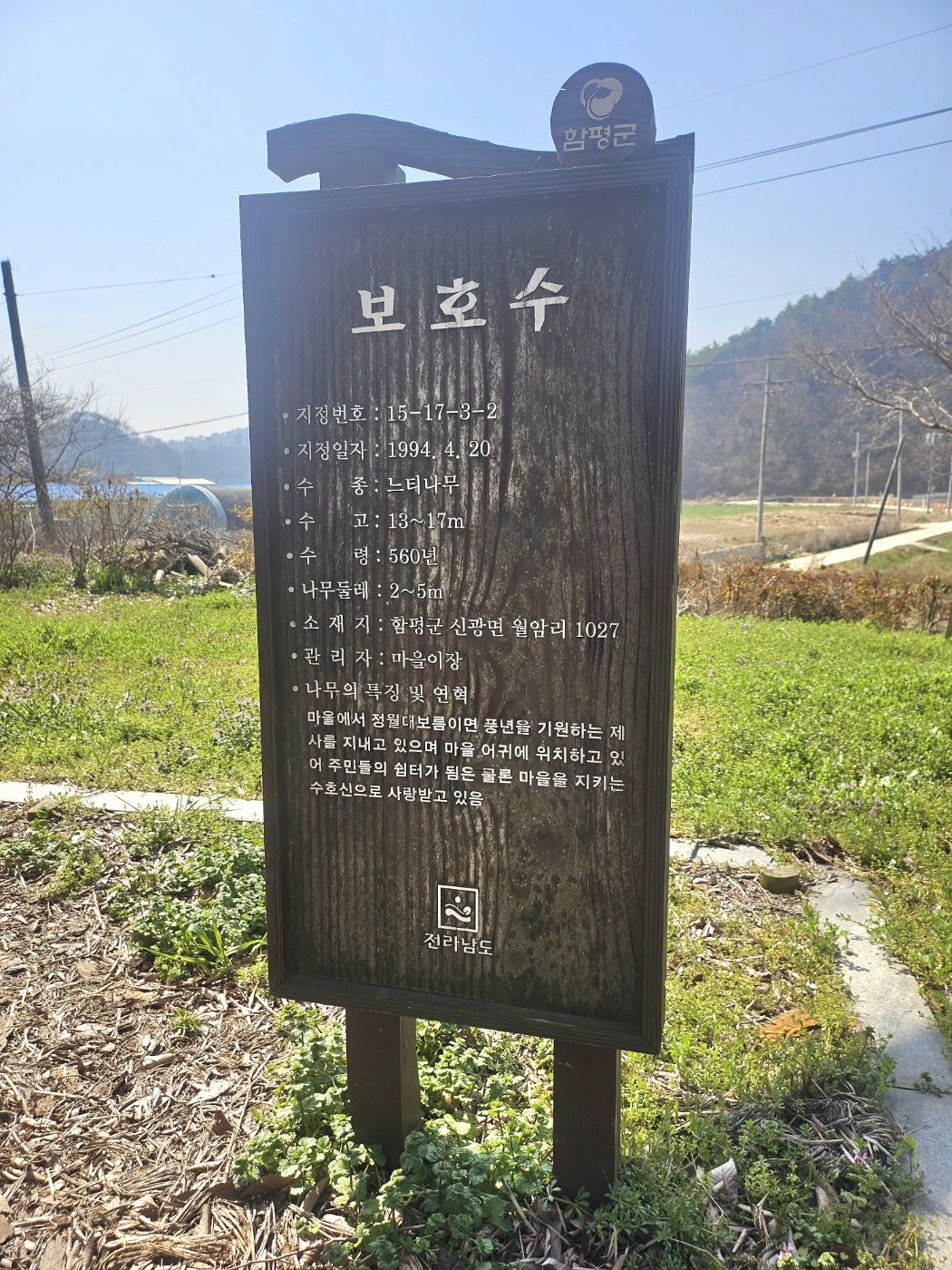 전통문향속의 핀 철쭉 꽃