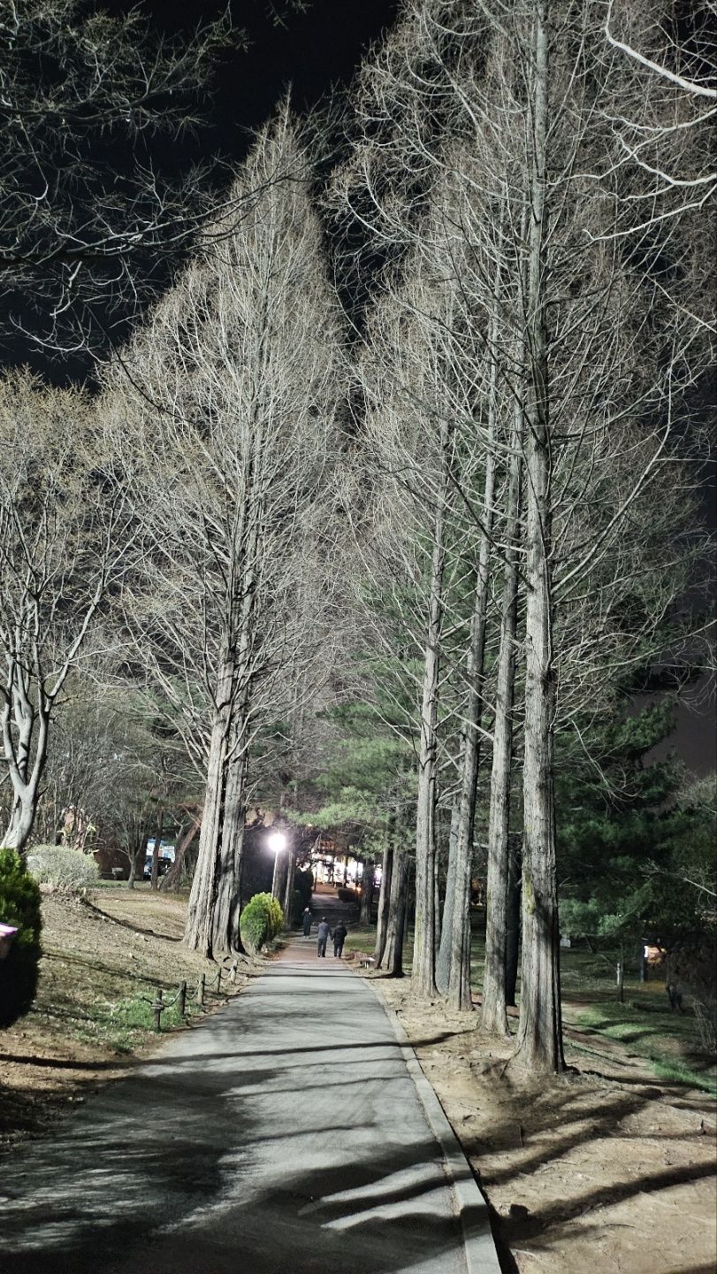 가로등이 미래의 빛이고 희망이길....