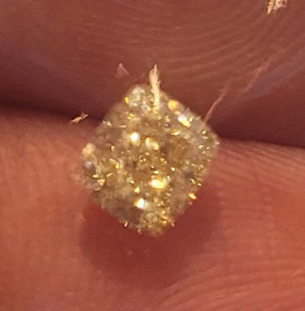 유리자베스 펜시 유향숙