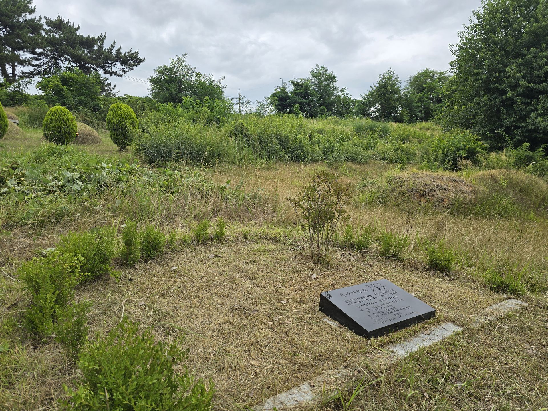 김옥순의 어머니 고금곤님!