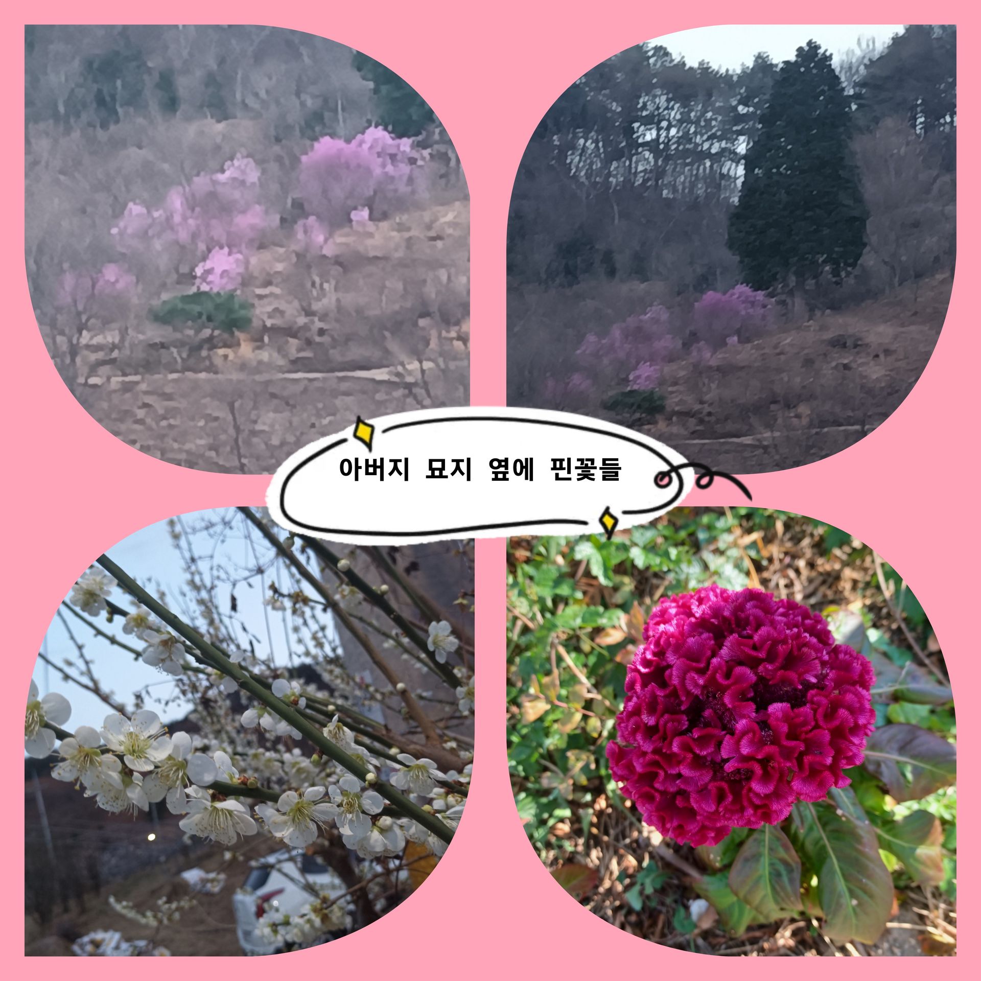 (임복례)윤주영의 부모님 생전일기