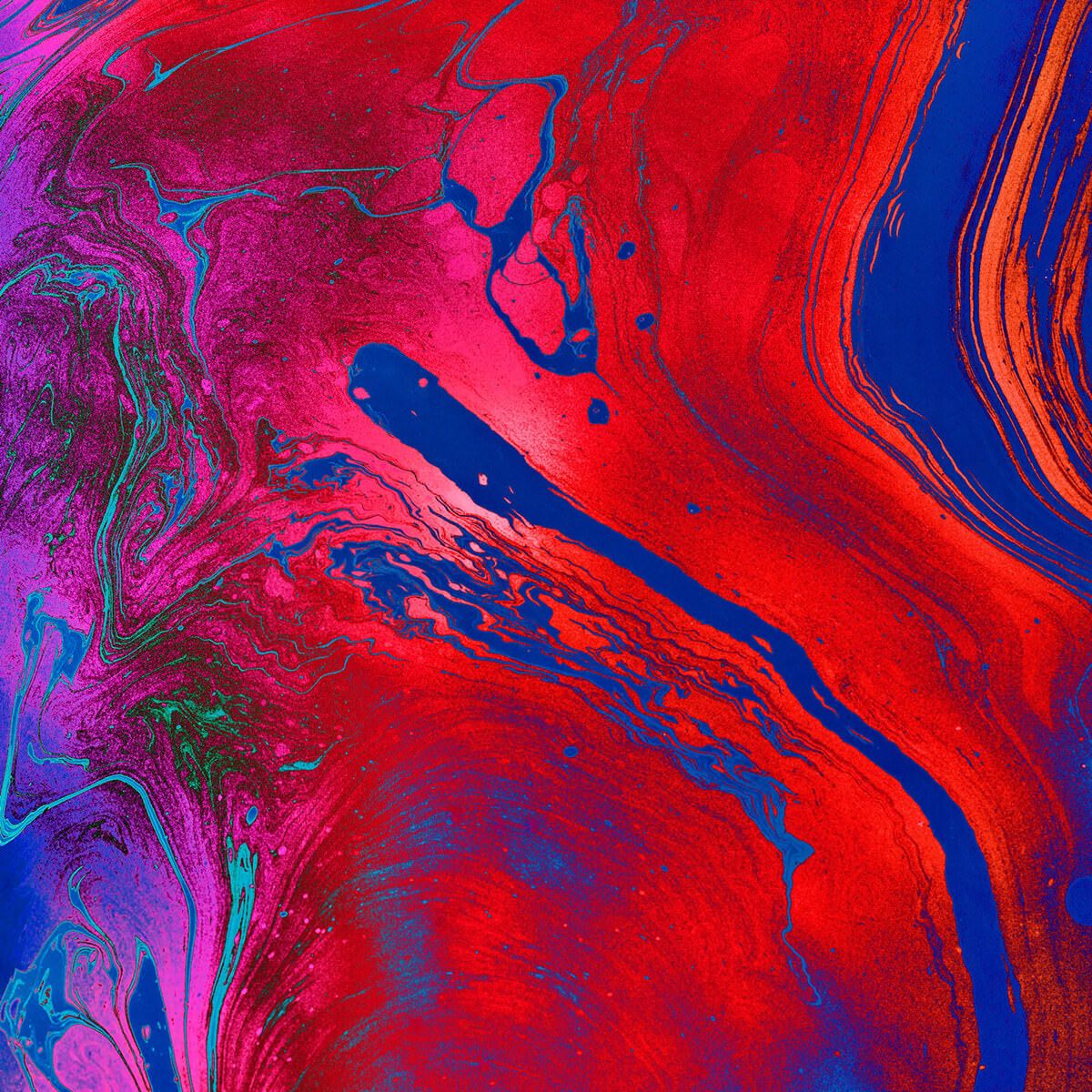 [검증등기] 등기신청 견본