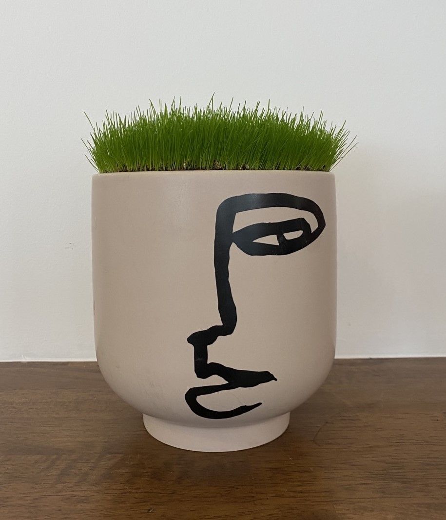 봄은 내 머리 위에!