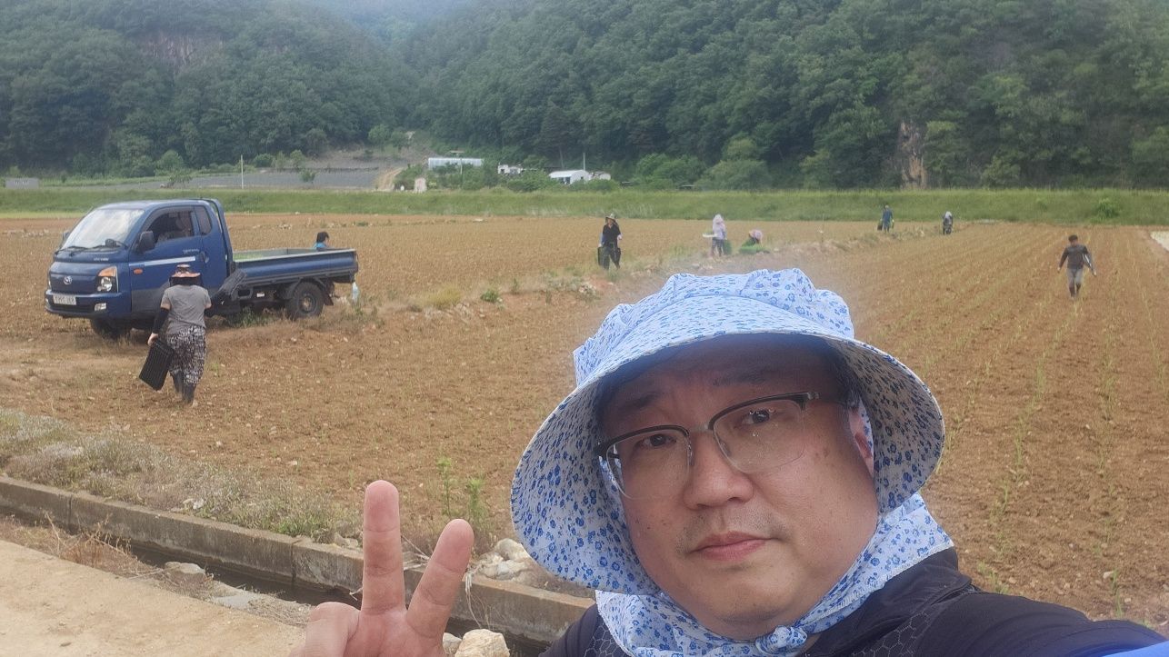 정선 화암면 구슬골길 유가네 수수 모심기 프로젝트