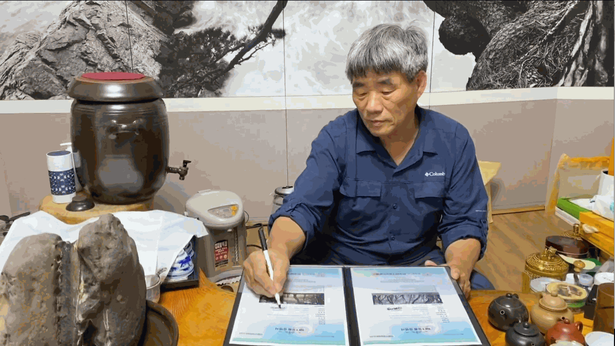 소나무 四季 연작 시리즈_정령들의 숲, 夏