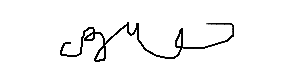 서명